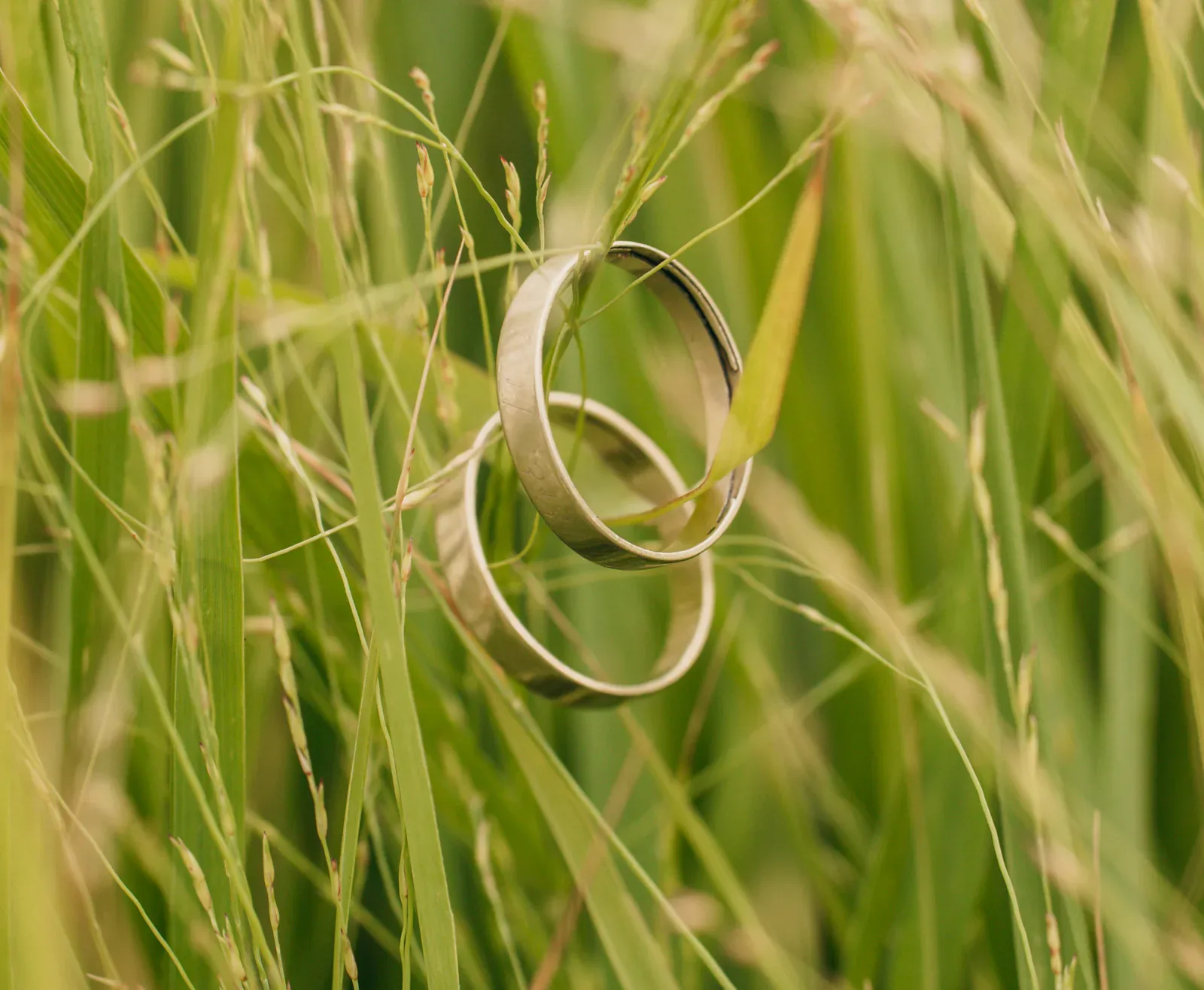 Eheringe im Gras – Hochzeitsdetail am Pitzlloch