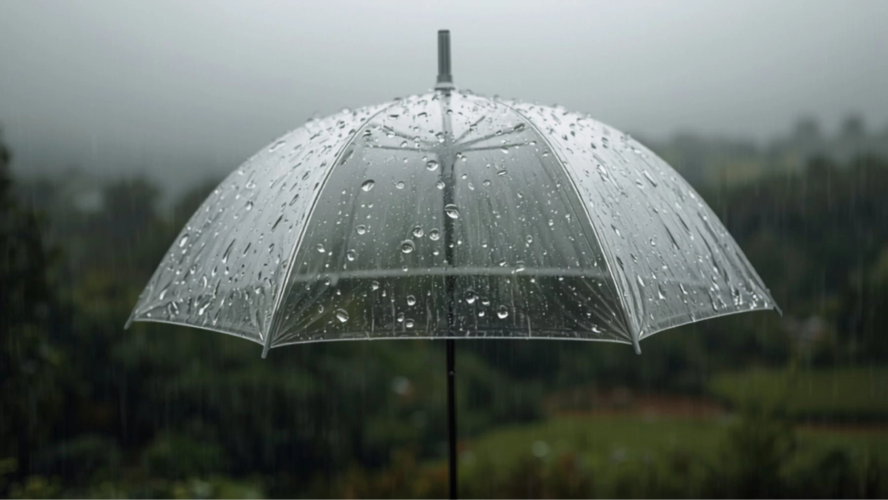 Hochzeit bei Regen am Chiemsee – Schlechtwetter-Plan