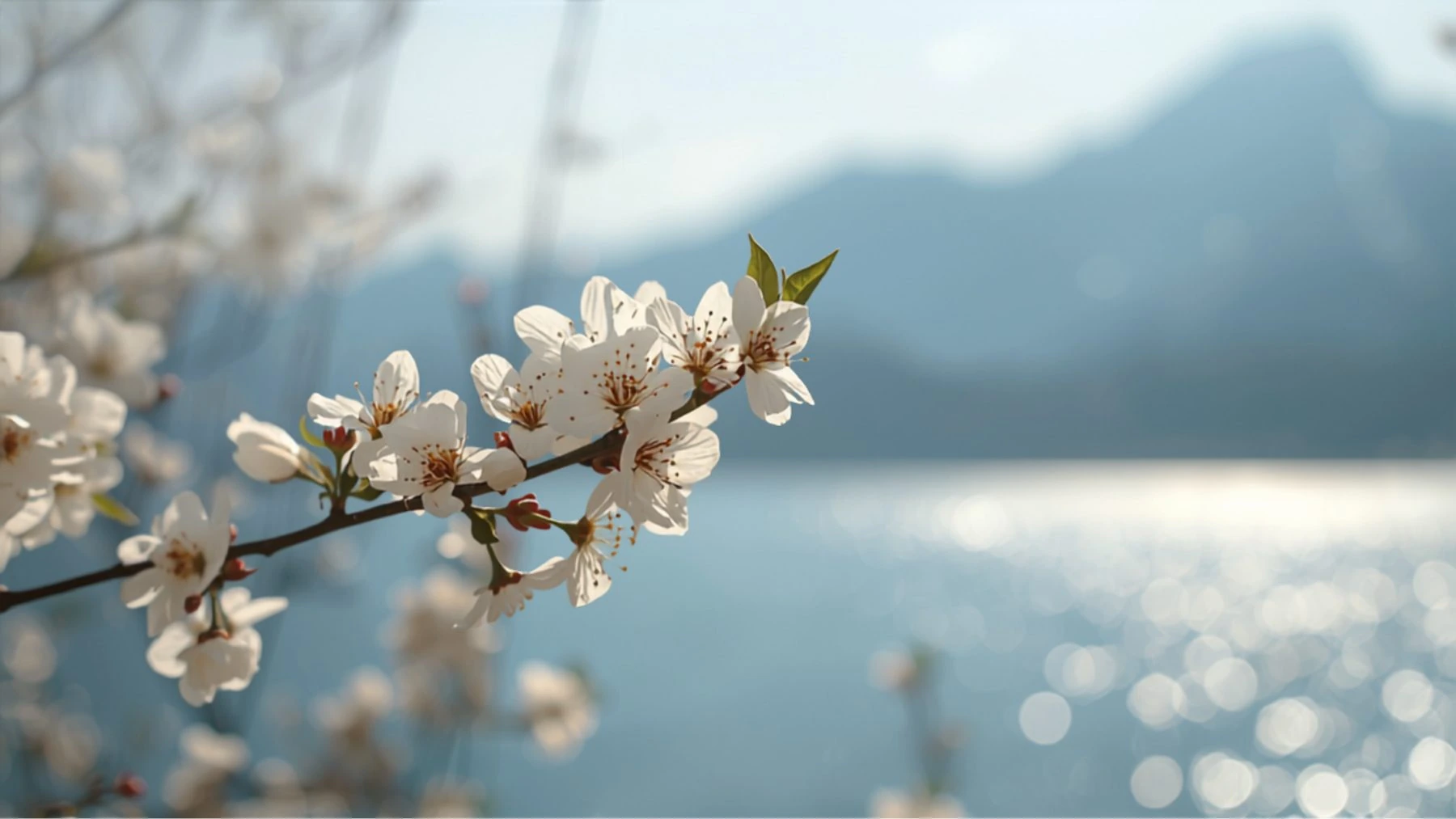 Wann am Chiemsee heiraten? Saison-Guide